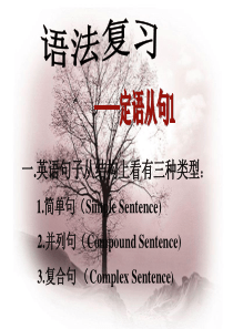 高三二轮复习 语法 定语从句ppt课件1