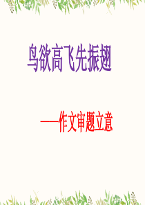 作文审题立意