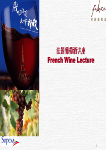 葡萄酒培训资料(葡萄酒)