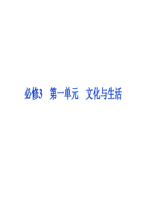 2014高考政治一轮复习课件：文化生活_第一单元第一课_文化与社会
