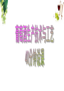 葡萄酒生产技术与工艺