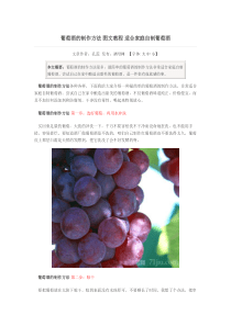 葡萄酒的制作方法 图文教程 适合家庭自制葡萄酒