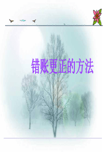 会计学原理错账更正法课件