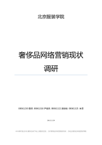 奢侈品网络营销现状调研