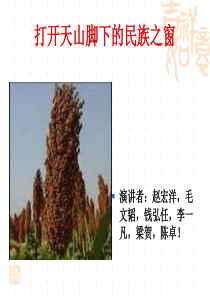 北师大版版品德与社会五年级上册《打开天山脚下的民族之窗》ppt课件3