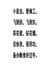 《蜜蜂》ppt课件