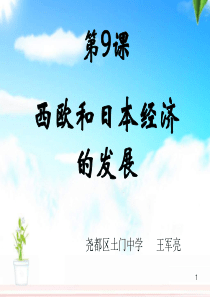 《西欧和日本经济的发展》ppt课件