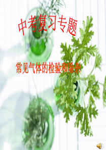 中考专题复习-常见气体检验与除杂
