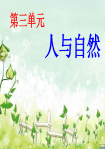 《敬畏自然》ppt