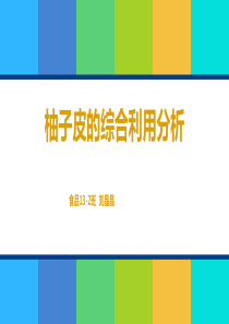 柚子皮的综合利用分析PPT