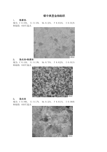钢中典型金相组织