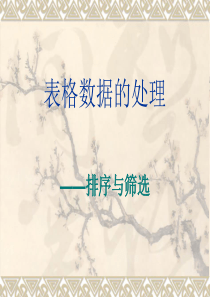 表格数据的处理――排序和筛选 课件