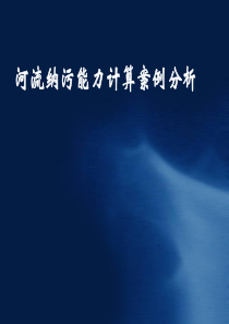 河流纳污能力计算