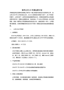 软件公司总的年度计划目标