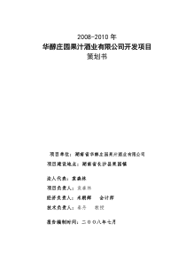 酒业开发项目策划书