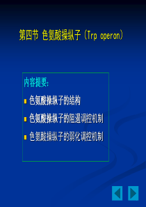 色氨酸操纵子