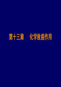 药物毒理学-药物的安全性评价试验方法1
