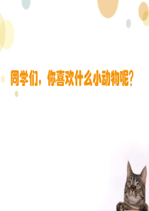 《猫》公开课教学设计
