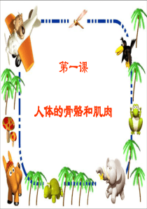 第一课 人体的骨骼和肌肉