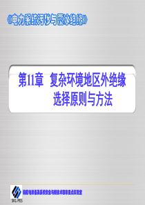 电力系统污秽与覆冰绝缘_11