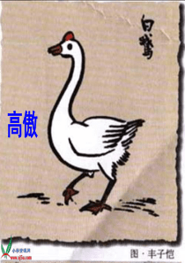 14白公鹅(完整课件)