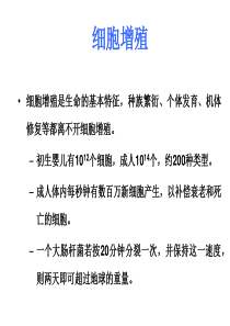 高一生物细胞增殖5