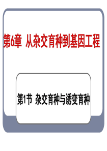 杂交育种与诱变育种(公开课获奖课件)