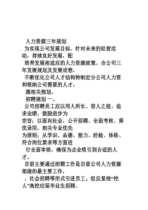 人力资源三年规划