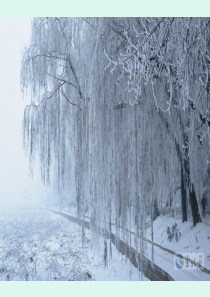 2016 一年级语文上 雪地里的小画家ppt