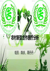 农村新型合作医疗分析