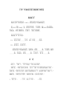 小学一年级语文短文阅读(自己加了拼音)