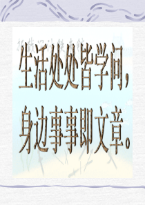 苏教版语文九上专题《广告多棱镜》ppt课件