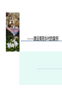 建设美丽乡村的目标及相关案例