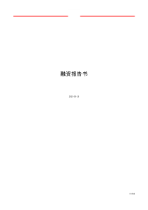 融资报告书