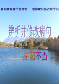 语病之搭配不当