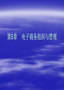 第5章电子商务组织与管理