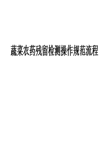 蔬菜农药残留检测操作规范流程（PPT33页)