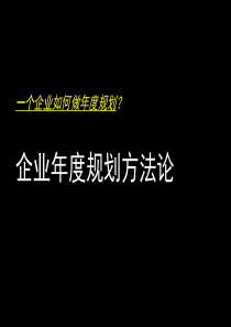 企业如何做年度规划