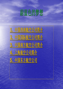 丁佳宇-航空公司介绍PPT