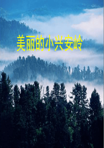 《美丽的小兴安岭》(素材)