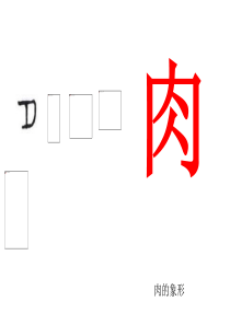 与“肉”有关的汉字