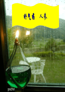 补气药人参