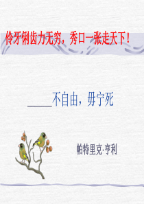 《不自由,毋宁死》ppt课件