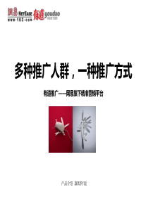有道推广产品介绍