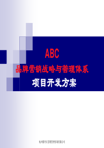 ABC营销策略与管理体系开发方案.