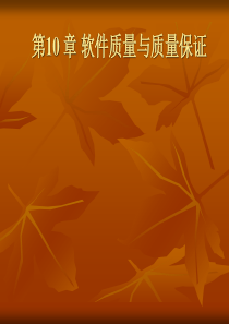 软件工程 软件质量与质量保证