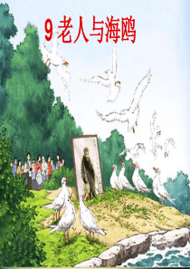 《老人与海鸥》优秀课件