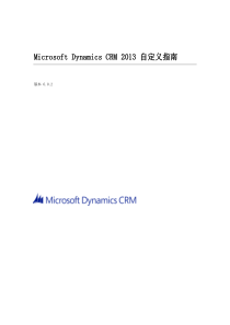 dynamics_CRM_自定义指南(中文)