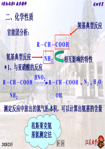 氨基酸蛋白质核酸