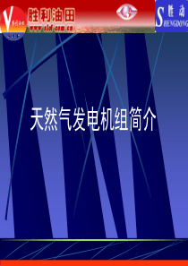 天然气发电机组